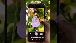 LMC r18 Camera setting lmc camera settings shorts trending [upl. by Ahsikram]