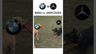 BMW vs MERCEDESBENZ [upl. by Neelyam]