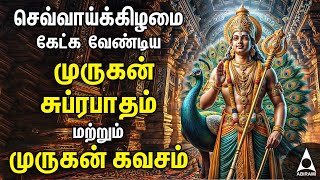 Tuesday Powerful Murugan Suprabatham And Muruga Kavasam  Murugan Bakthi Padalgal [upl. by Hawken665]