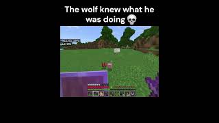 worst way to find a pink sheep😅😭minecraft pinksheep [upl. by Hartfield]