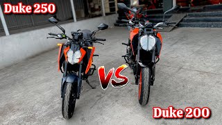 2024 KTM Duke 250 Vs Duke 200 Comparison  Which is Best Ktm duke 250 vs duke 200 [upl. by Pool867]