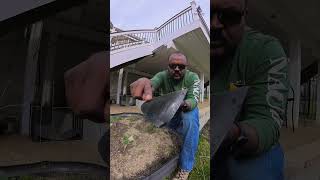 🇺🇸 அமெரிக்காவுக்கு Weed Remover Tool ⛏️ 🤔 எங்கிருந்து வருது 💢 💥 USA Tamil Vlogs🇺🇸 [upl. by Sitto144]