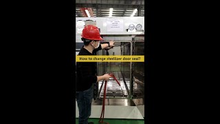 How to change veterinary vaccine steam sterilizer door seal  Sterilization  Autoclave [upl. by Eiaj]