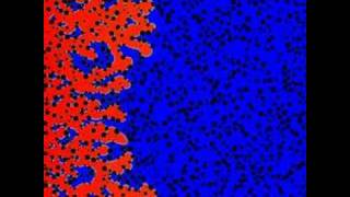 Drainage using lattice boltzmann [upl. by Alliuqat]