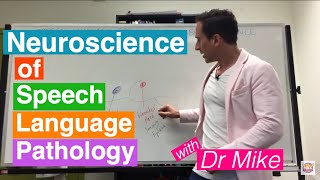 Neuroscience of Speech Language Pathology SLP [upl. by Shauna]