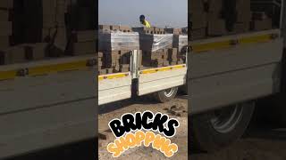 Bricks Shopping villagehouse villagebuilding shortvideo [upl. by Haney]