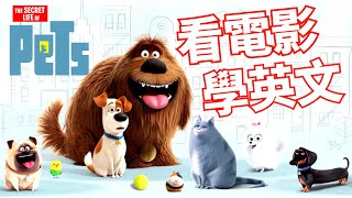 看電影學英文 The secret life of pets 愛寵大機密  2024年就要這樣學英文，堅持一個月✊你也可以不看字幕看懂美劇 [upl. by Ressler457]