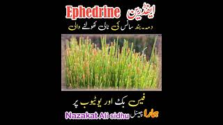 Ephedrine ephedra medicine treatment therapy [upl. by Ecirehs]