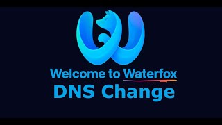 Waterfox Browser How to Change DNS Settings [upl. by Tallie]