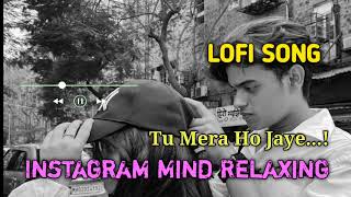 Tu Mera Ho Jaye LOFI SONG  Instagram Mind Relaxing Lofi Song  Instagram Trending Lofi Song [upl. by Kilby]