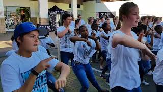 Ermelo Youth quotSpeak Lifequot Flashmob [upl. by Motch]