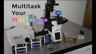 Multitask Your Microscope™ with Standard Microscopic Spectroscopy SMS [upl. by Anitsua]