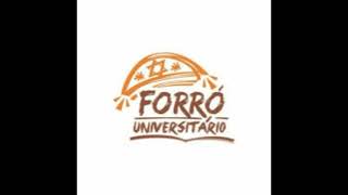 AS10 MELHORES do FORRO UNIVERSITARIO ANTIGAS parte 02 [upl. by Naesad]