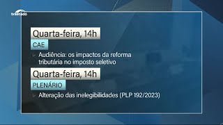 Agenda Senado pode votar mudança na lei eleitoral sobre inelegibilidades [upl. by Bordiuk]