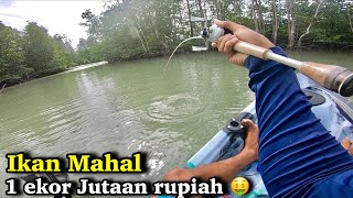 Casting Di Muara Pakai Kayak Strike ikan Langka Berharga Jutaan Rupiah 🤩 Auto Kaya [upl. by Hazeefah]