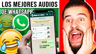 Los Mejores Audios Graciosos de Whatsapp 1 [upl. by Ewens35]