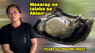 The best oyster in Aklan [upl. by Rafat]