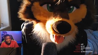 I Tortured Myself With FURRY ASMR for 10 Minutes [upl. by Reifnnej]