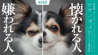 【徹底解説】この特徴の人はわんちゃんに即嫌われる！今日からわんちゃんに懐かれる方法【獣医師ツジノボル】 [upl. by Euqor]