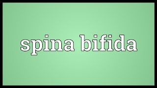 Spina bifida Meaning [upl. by Nyllek499]