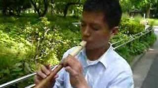 津軽じょんがら節Japanese folk music일본 민요  Soprano Recorder Ver피리 연주 [upl. by Leirea]