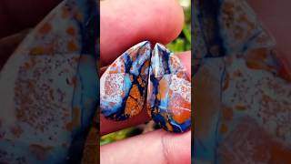 Multicolor petrified wood cabochon petrifiedwood blueopalpetrifiedwood [upl. by Nozicka]