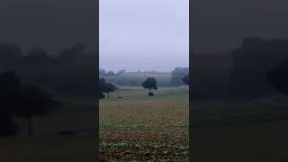 rolling through fertile farmland between Cities of Arnsberg and Soest in province of West Germany [upl. by Anisor]