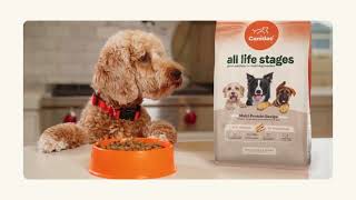 Canidae All Life Stages  Great Nutrition For MultiDog Families [upl. by Ri]