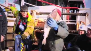 River Cottage  Hugh FearnleyWhittingstall  Fish Fight  Witnessing discard in the North Sea [upl. by Astiram]