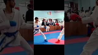 karate kumite punch 👊 heights karate kumite wkf ytshots martialarts [upl. by Estell258]