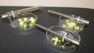 PRO Scientific Homogenizer quickly homogenizes Avocado samples Persea americana [upl. by Julianne]