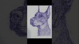 Doberman sketch with scribble art 🦮🦮🐕🐕🖊️🖋️🖋️sketchartscolour scribble deepakdog [upl. by Ahseat]