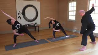 Zen Yoga for Spring liver and gall bladder meridians  minimovement sequence with Daizan Skinner [upl. by Whetstone]