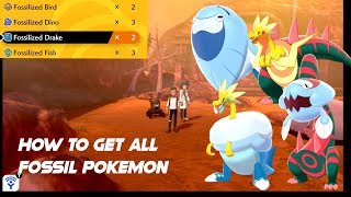 How To Get All Four Fossil Pokemon in Pokemon Sword and Shield [upl. by Piderit]