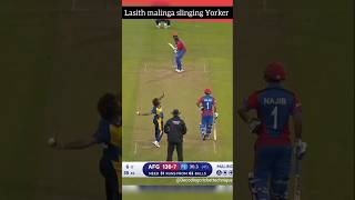 The Science Behind Malingas Perfect Yorkers slinginganalysis [upl. by Nycila778]