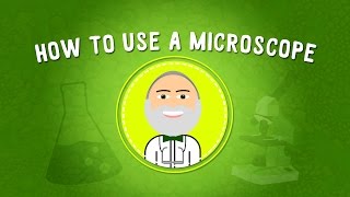 How to Use a Microscope  STEM [upl. by Marron]