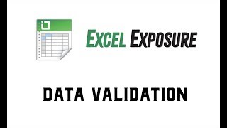 Data Validation in Excel [upl. by Sanalda]