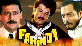 Parinda Full Movie  Anil Kapoor  Nana Patekar  Jackie Shroof  Facts and Review [upl. by Arries]