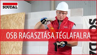 OSB lap ragasztása téglafalra 💪 [upl. by Ogires428]