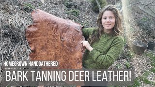 Making Deer Leather using Acorns and Oak Bark [upl. by Ryley704]