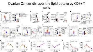 Ovarian Cancer disrupts CD8T CART cells via downregulating FABP5 surface expression Code 711 [upl. by Latihs]