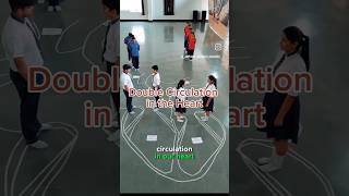 How Double Circulation works Practicle😱🔥shorts heart shirazivillagevlog [upl. by Epillihp868]