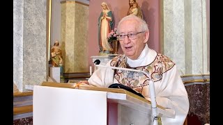 Father Frank Karwacki on the History of Our Lady Catholic Church Mount Carmel Pa [upl. by Peggy791]