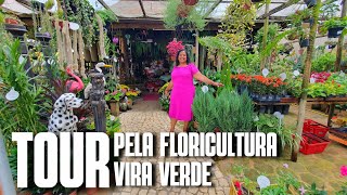 TOUR PELA FLORICULTURA VIRA VERDE FLORICULTURA EM GURIRIES  FLORES FOLHAGENS E MUITAS PLANTAS [upl. by Garry]