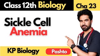 Sickle Cell Anemia  Class 12th Biology  Chapter 23 [upl. by Geaghan]