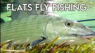 Epic Bonefish Permit Tarpon Fly Fishing  Belize [upl. by Tsnre]