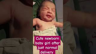 cute newborn baby girl after just normal delivery lo baby cute cutebaby newborn babygirl [upl. by Divd]