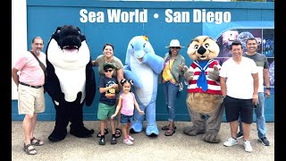 Sea World San Diego 2024 [upl. by Labotsirc]