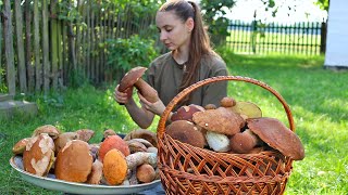 Picking and cooking Porcini mushrooms INCREDIBLY TASTY Life in the village [upl. by Mchenry652]