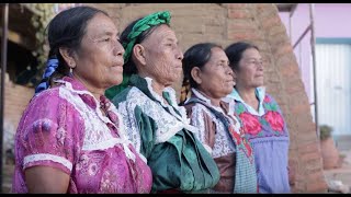 Taller quotHorno de leña libre de humoquot en San Marcos Tlapazola Oaxaca [upl. by Otsenre596]